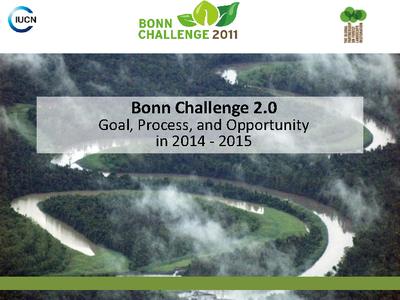 The Bonn Challenge Phase 2