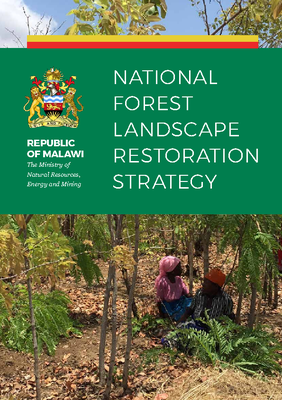 National Forest Landscape Restoration Strategy