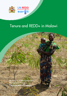 Tenure and REDD+ in Malawi