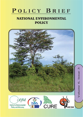 Policy Brief on the National Environmental Policy of Malawi